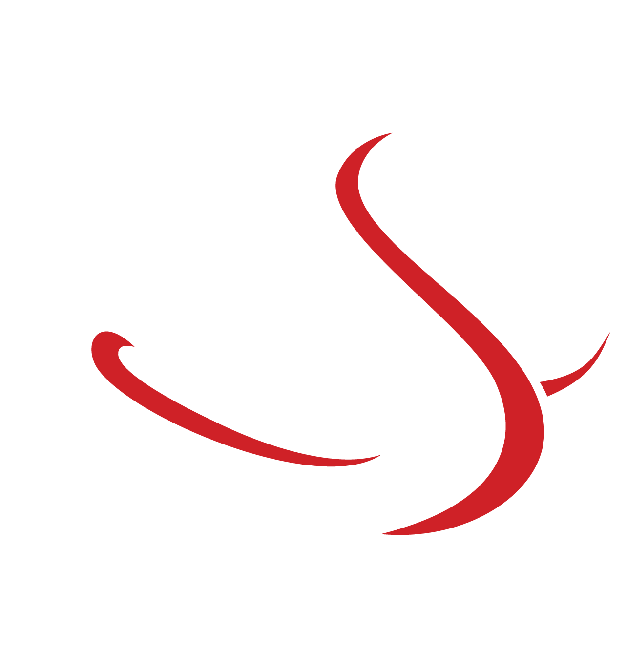 Discovery College